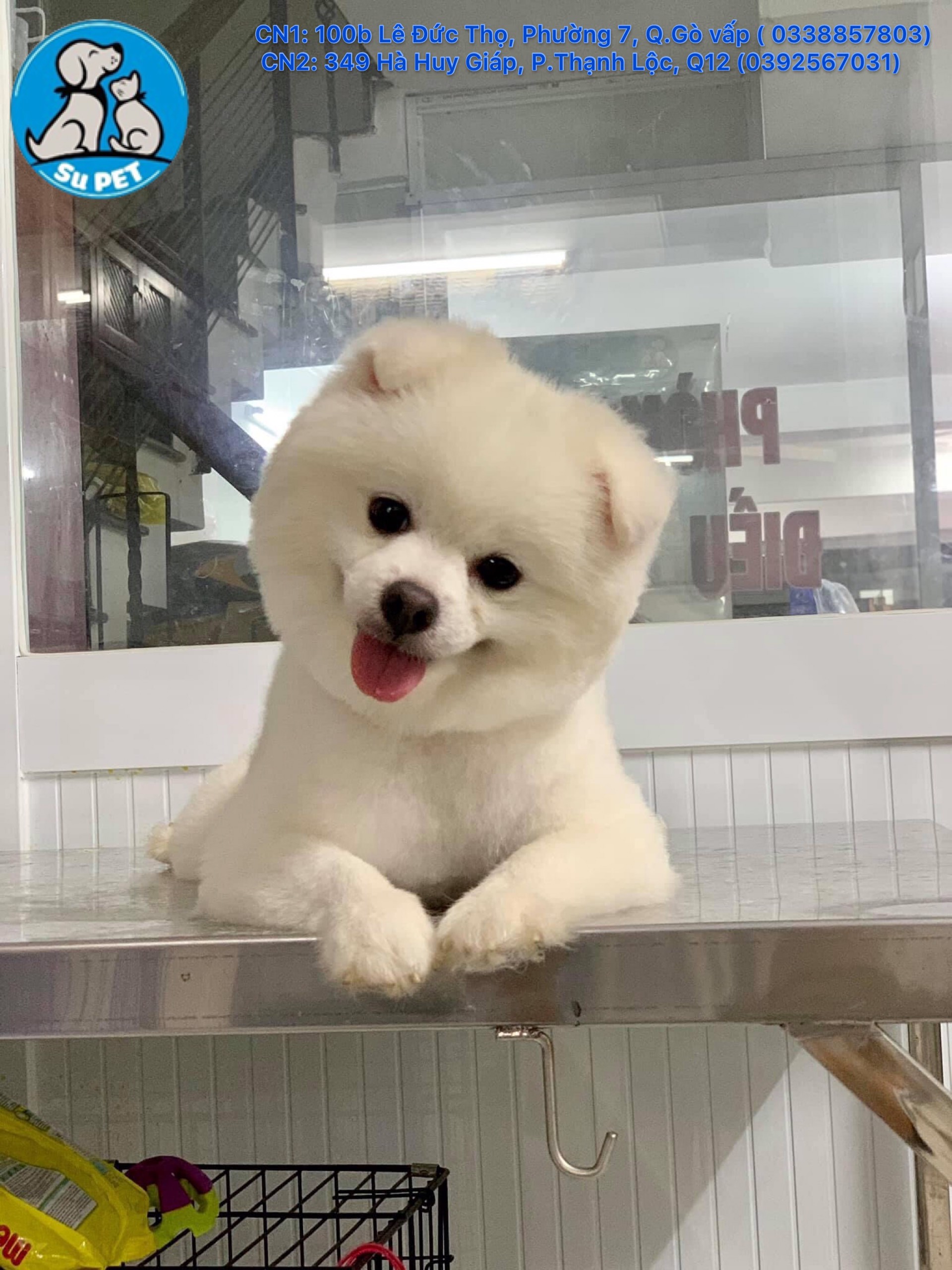 Thú Y SuPet | Thú Y Quận Gò Vấp - Bình Thạnh - Quận 12