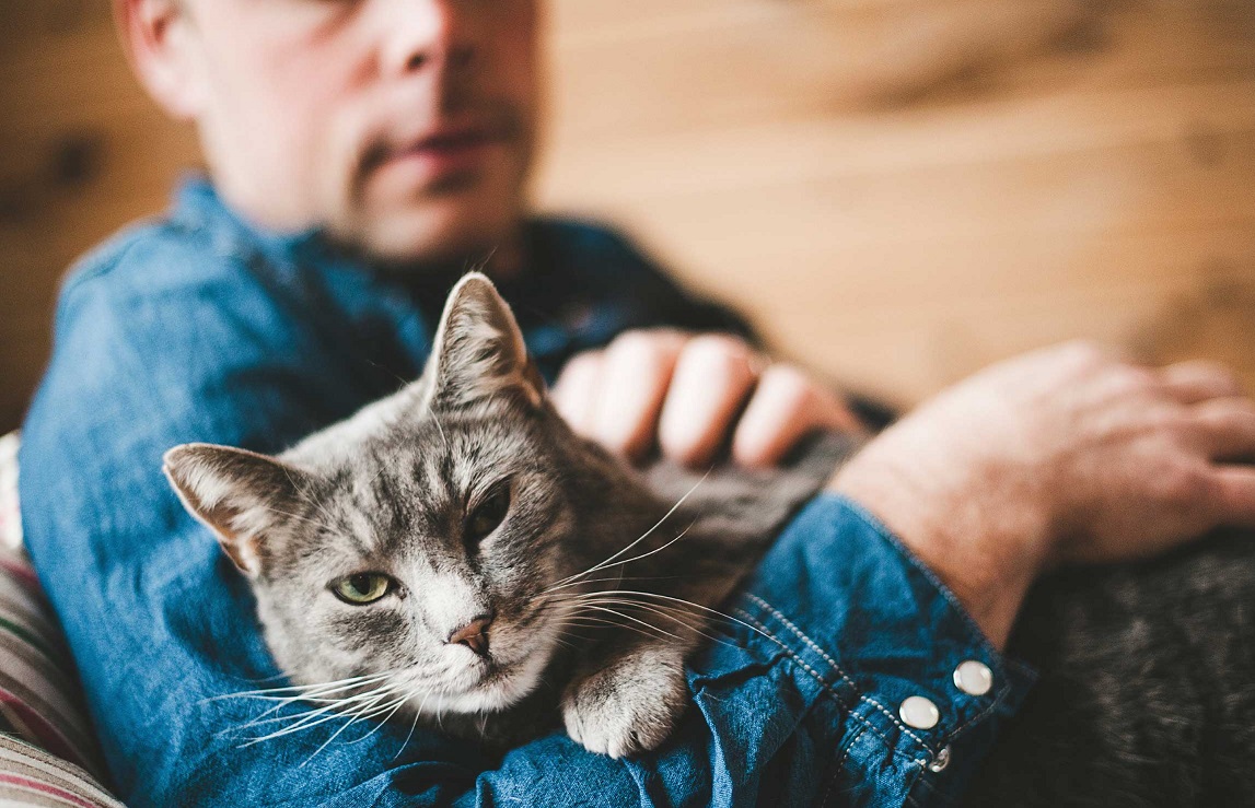 Thú Y SuPet | Thú Y Quận Gò Vấp - Bình Thạnh - Quận 12