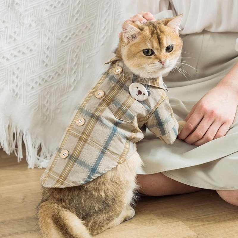 Thú Y SuPet | Thú Y Quận Gò Vấp - Bình Thạnh - Quận 12