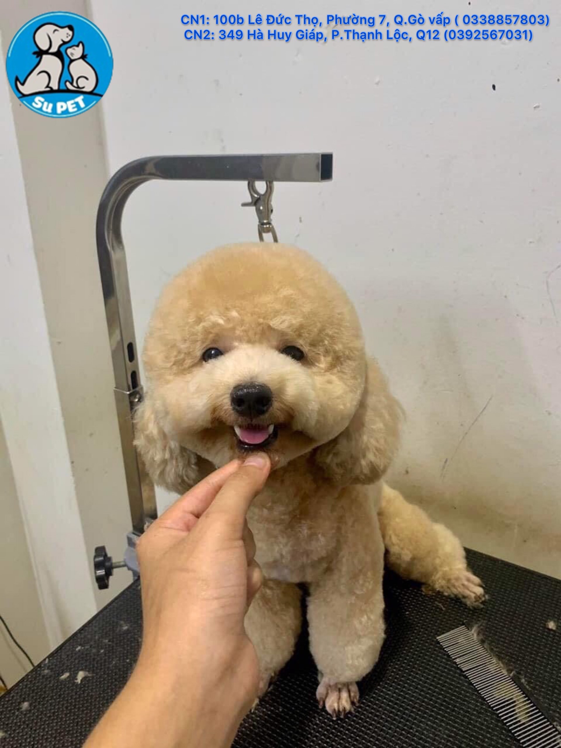 Thú Y SuPet | Thú Y Quận Gò Vấp - Bình Thạnh - Quận 12