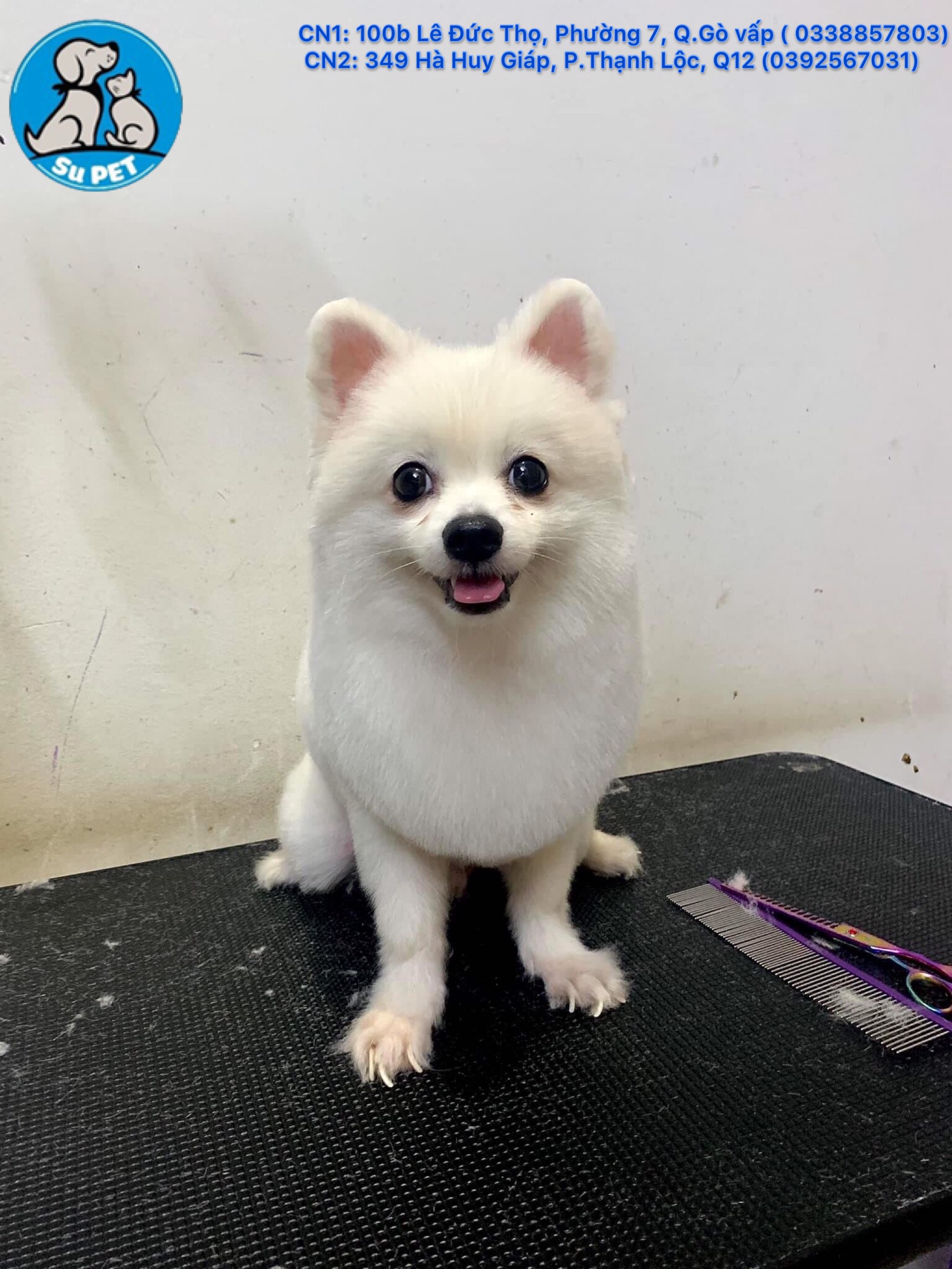 Thú Y SuPet | Thú Y Quận Gò Vấp - Bình Thạnh - Quận 12