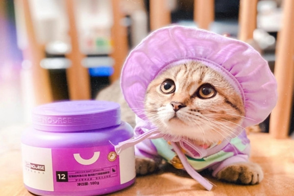 Thú Y SuPet | Thú Y Quận Gò Vấp - Bình Thạnh - Quận 12