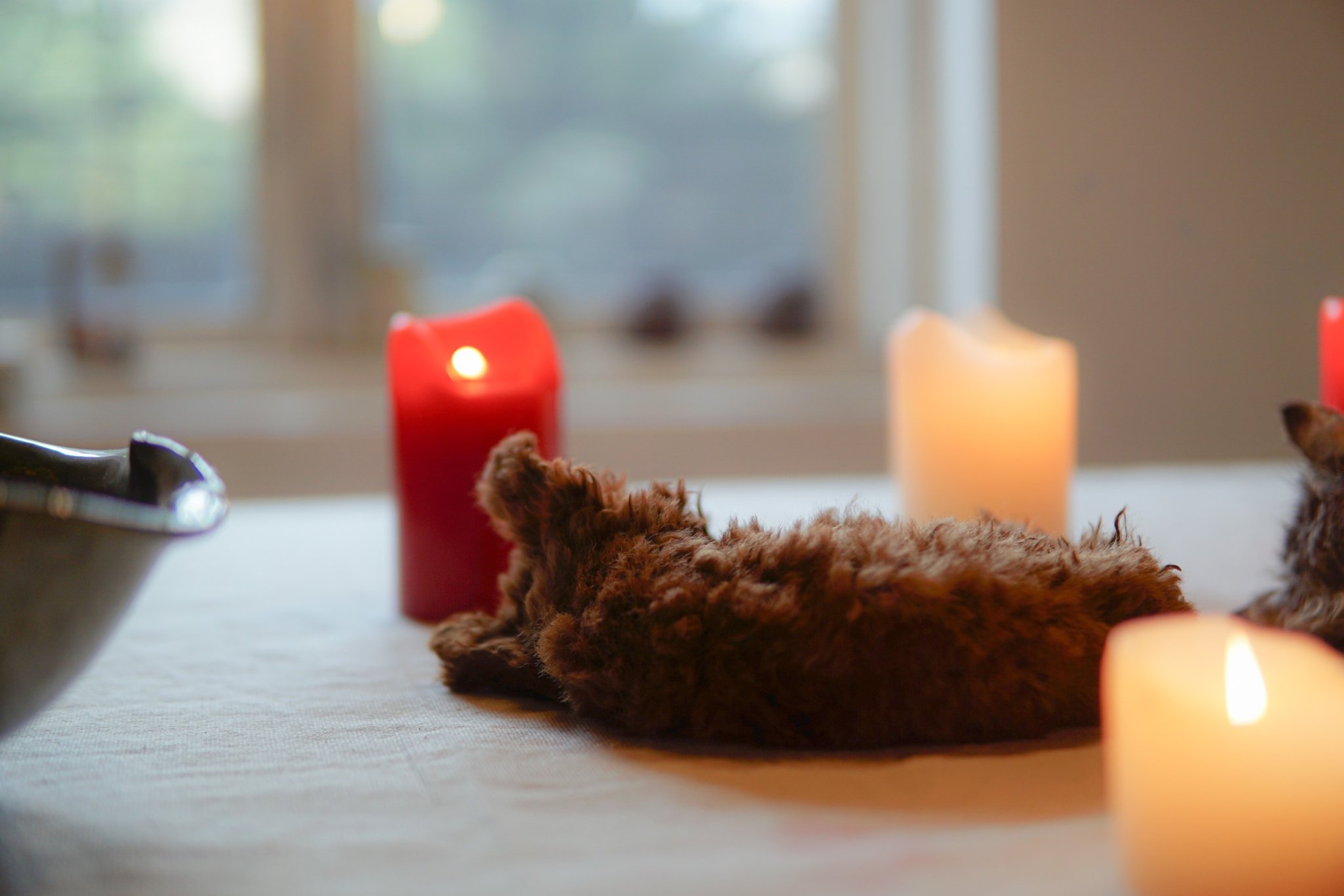 Dich-vu-hoa-tang-thu-cung-1