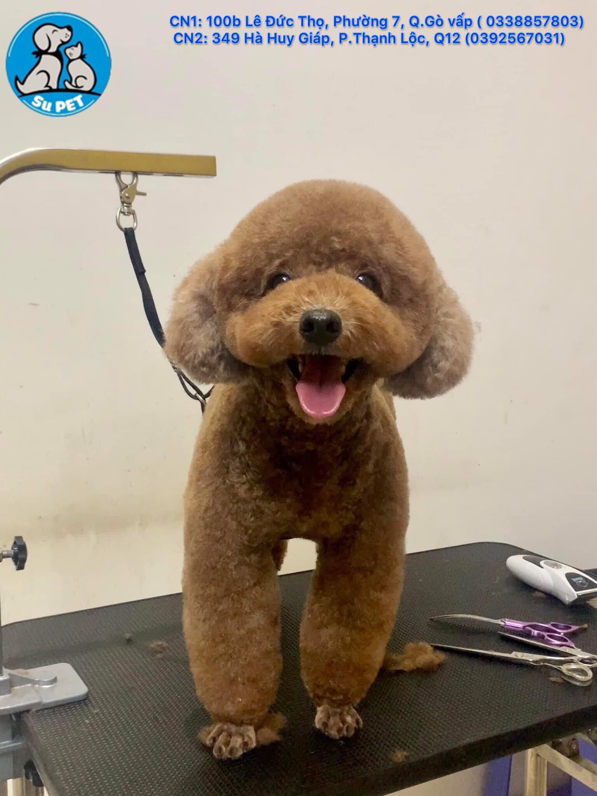 Thú Y SuPet | Thú Y Quận Gò Vấp - Bình Thạnh - Quận 12