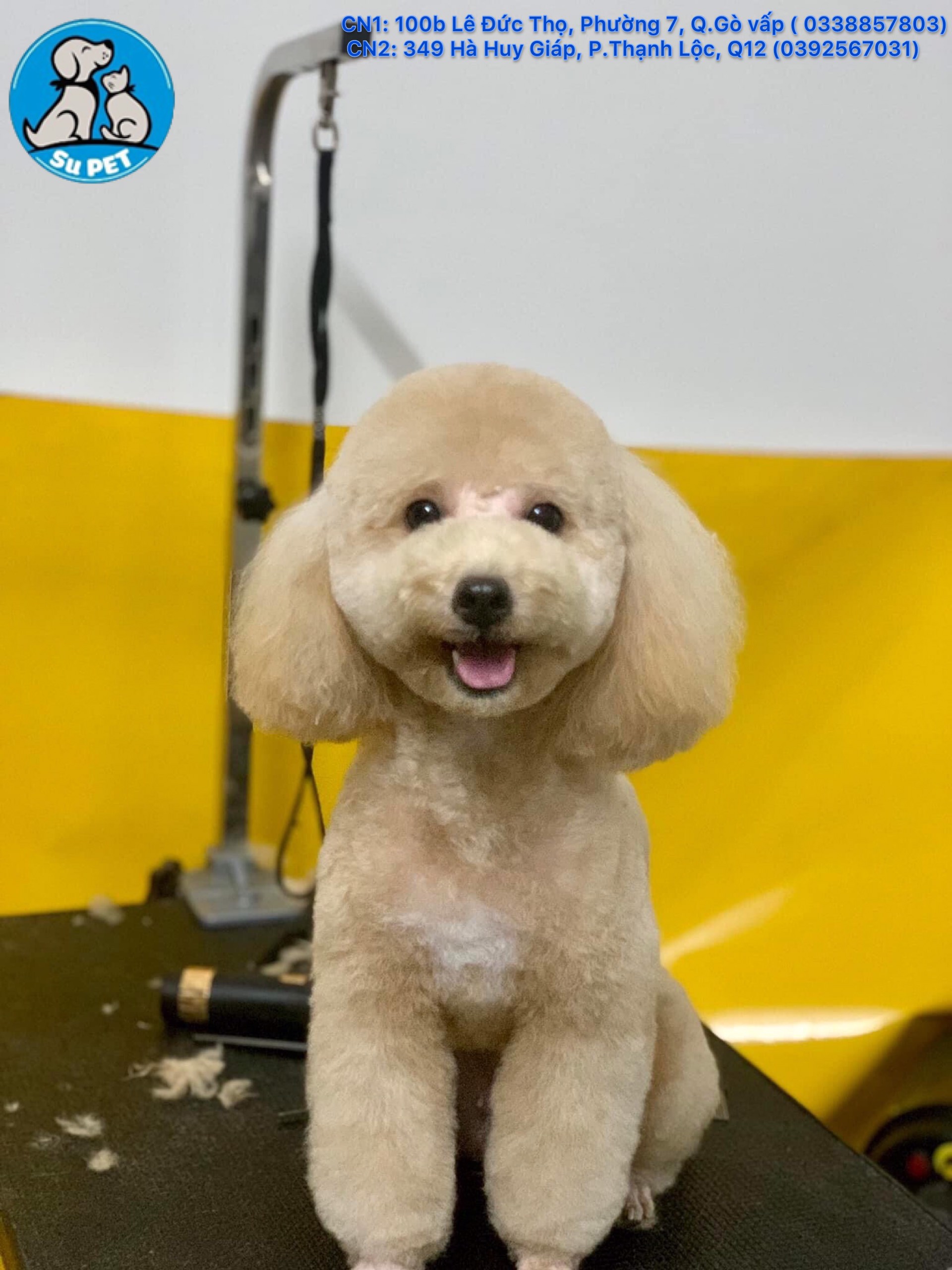 Thú Y SuPet | Thú Y Quận Gò Vấp - Bình Thạnh - Quận 12