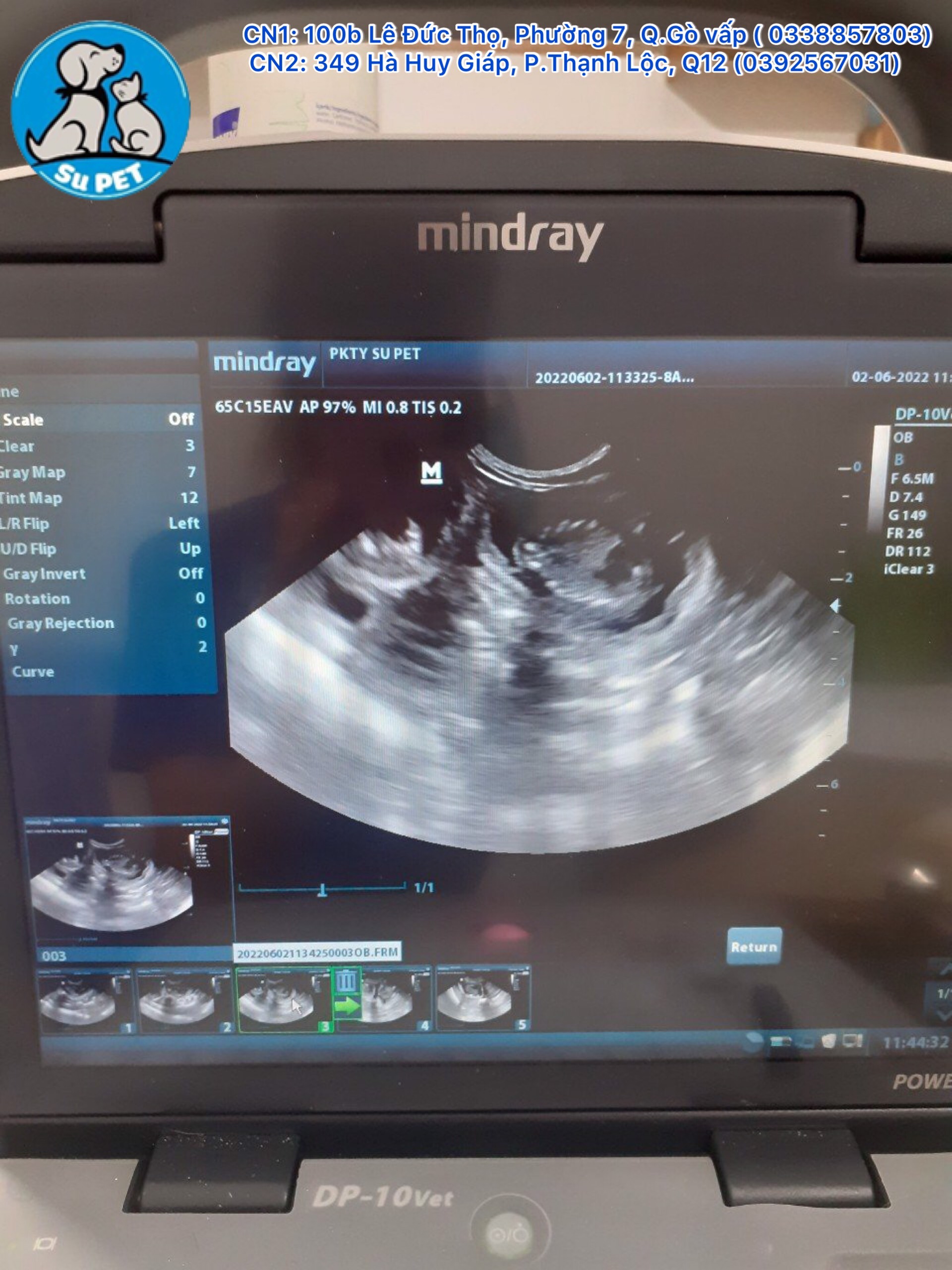 Thú Y SuPet | Thú Y Quận Gò Vấp - Bình Thạnh - Quận 12