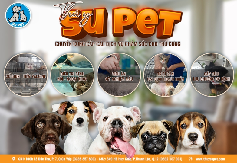 Thú Y SuPet | Thú Y Quận Gò Vấp - Bình Thạnh - Quận 12