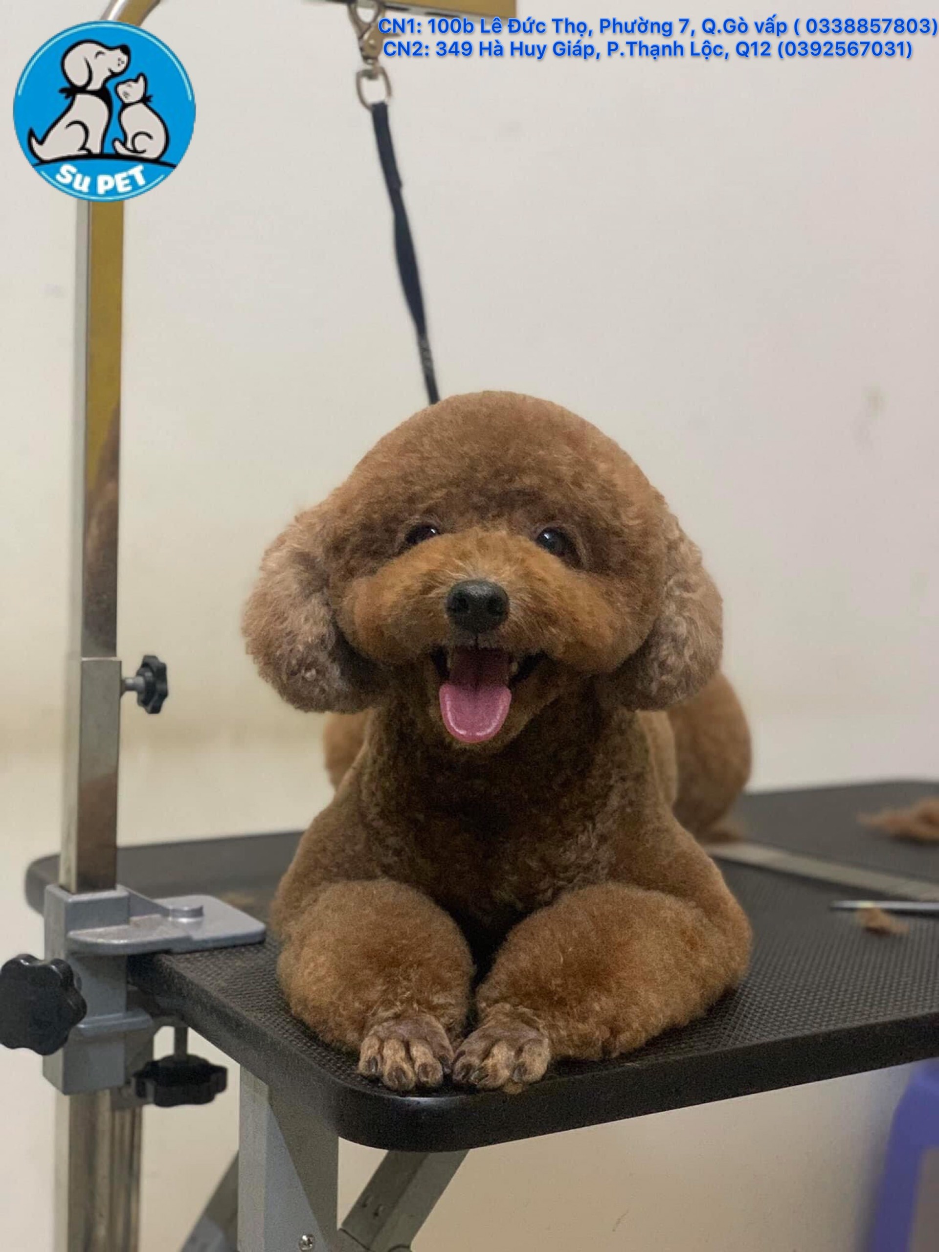 Thú Y SuPet | Thú Y Quận Gò Vấp - Bình Thạnh - Quận 12