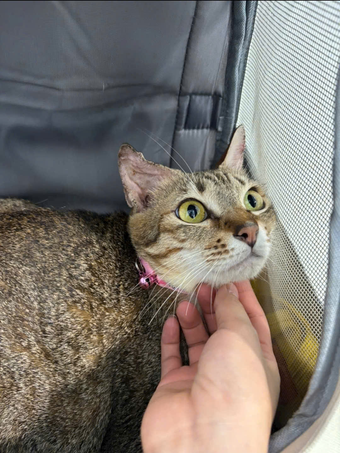 điều trị tụ máu