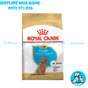 thức ăn royal canin cho poodle dưới 10 tháng tuổi - 500GR