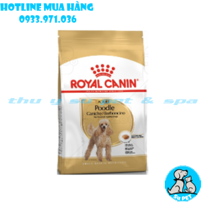 thức ăn royal canin cho poodle trưởng thành - 500gr